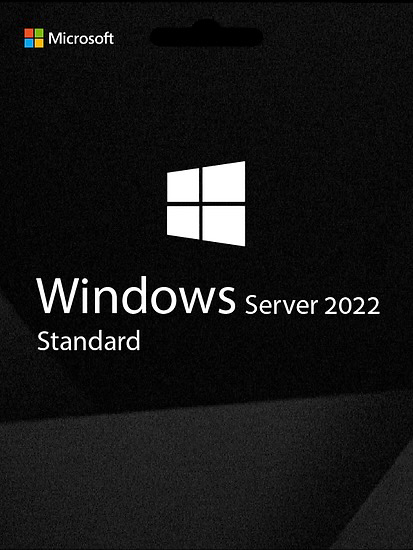 Microsoft Windows Server 2022 Standard - Product Key