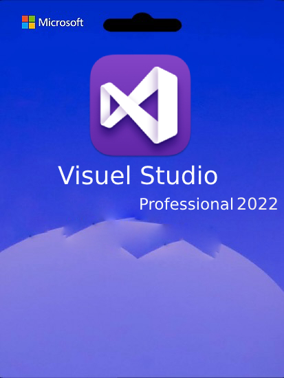 Visual Studio Professional 2022 - Product Key